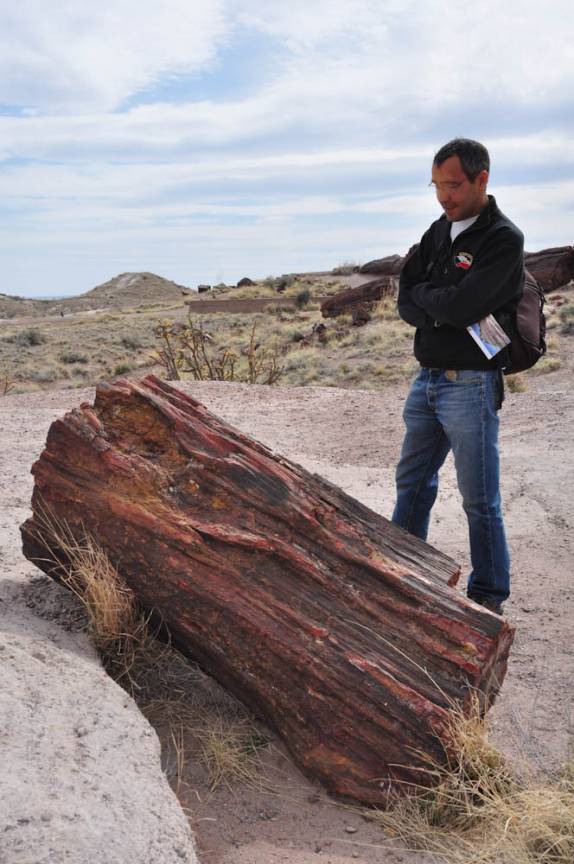 Observando troncos petrificados no Petrified Forest National Park, no Arizona - Estados Unidos